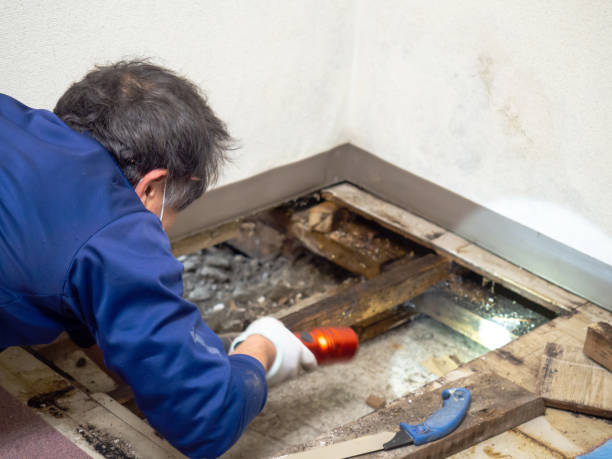 Best Water Damage Restoration  in Clearlake, CA