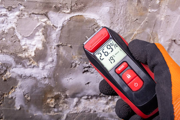 Best Mold Removal Company Near Me  in Clearlake, CA