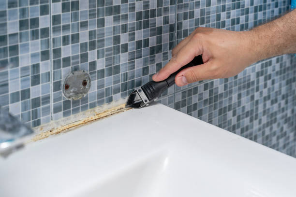 Best Certified Mold Removal  in Clearlake, CA