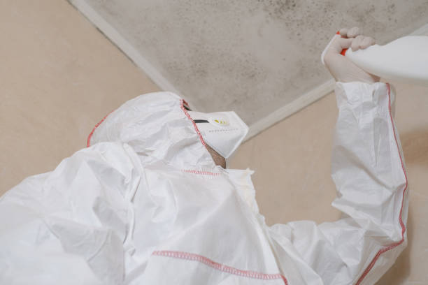 Best Emergency Mold Removal  in Clearlake, CA