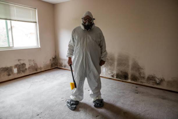 Best Toxic Mold Removal  in Clearlake, CA